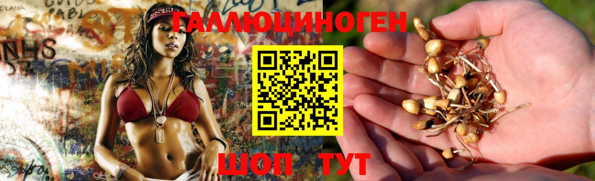 Рассказово  Галлюциногенные грибы MAGIC MUSHROOMS  цена наркотик  Вход с VPN 